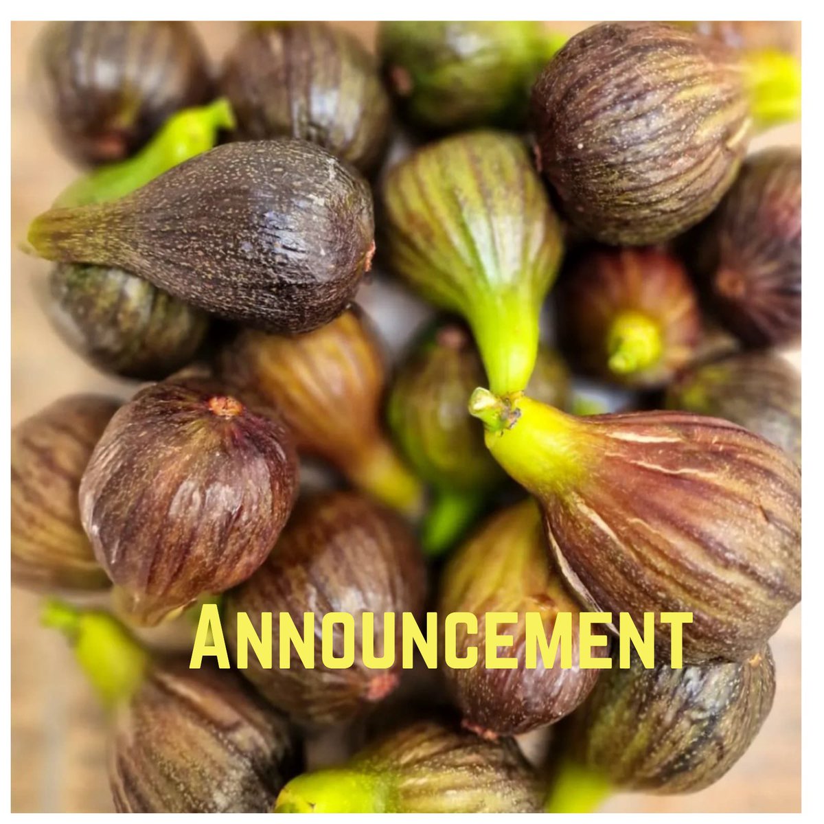 The Fig Tree @36 restaurant tweet media