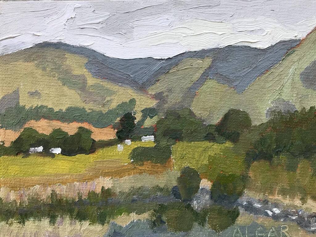 tracyalgar's tweet photo. A very little painting at @mistymountainsestate this morning. 

View from Misty Mountains Farm Stall
20 x 15 cm
Oil on canvas board

#overbergartist #pleinairpainting #oilonboardpainting https://t.co/WFRaLcmX5x https://t.co/2s4bFI9XbQ