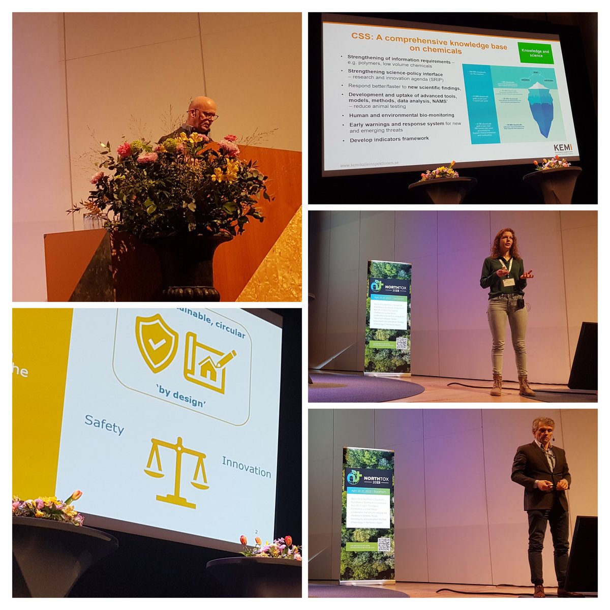 Penny Nymark, PhD tweet media