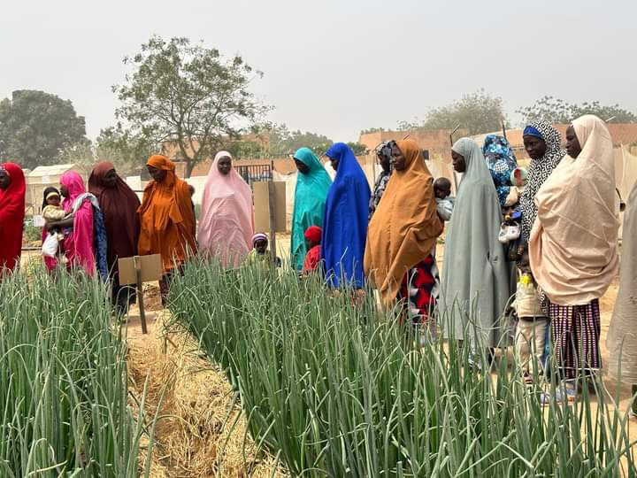 Solidaridad_wa's tweet photo. @Solidaridad_wa is supporting #smallholder farmers in the Kaduna & Kano states of Nigeria to take up home gardening to improve household nutrition as well as income. This is under the #SDGP funded by @NLNetherlands. https://t.co/B1wrU64eBe