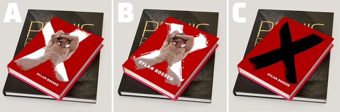 POLL TIME AGAIN: I am starting to narrow down my cover decisions for my next book. Let me know which