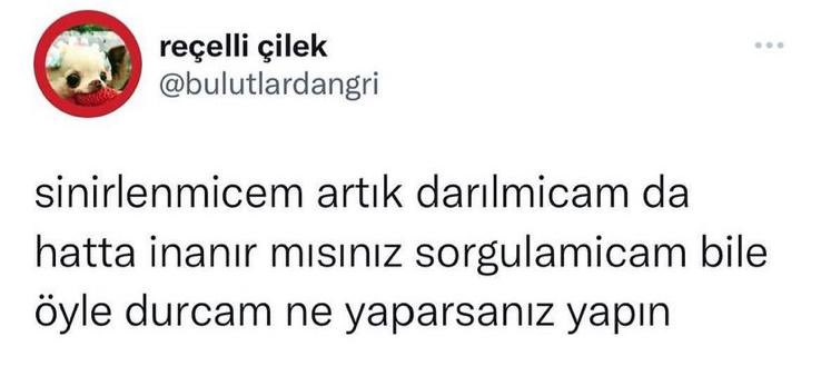 MOOD (@w3mood) on Twitter photo 