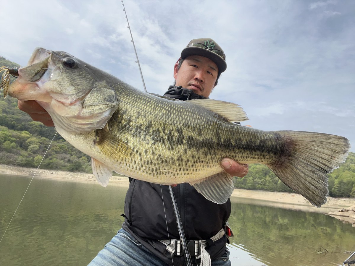 Shota10076010's tweet photo. 八田原ダム釣行🎣
1本目ディレンジフーラEX
2本目ディレンジフーラEX
3本目SD110-F
メインはフーラで風が吹き出した
タイミングでSD110-F‼️
#FISHINGMONSTERCREW
#ドランクレイジー
#ディレンジフーラEX
#ベビーフェイス
#SD110
#八田原ダム
#バス釣り
#TOMARANEEZE https://t.co/BBkcP0mkiN