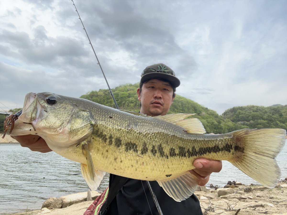 Shota10076010's tweet photo. 八田原ダム釣行🎣
1本目ディレンジフーラEX
2本目ディレンジフーラEX
3本目SD110-F
メインはフーラで風が吹き出した
タイミングでSD110-F‼️
#FISHINGMONSTERCREW
#ドランクレイジー
#ディレンジフーラEX
#ベビーフェイス
#SD110
#八田原ダム
#バス釣り
#TOMARANEEZE https://t.co/BBkcP0mkiN