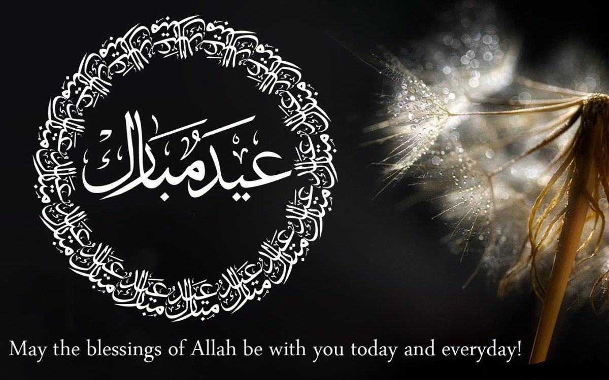 Zahid Sahi (@zahid_sahi) on Twitter photo 