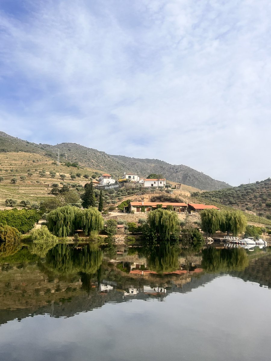 IPProfEvans's tweet photo. I truly feel like I’ve been dropped into an other worldly world. Portugal is magnificent.
TRAVEL. Go. ASAPEDLY.
Early and often. If you never leave your comfort zone, it’s impossible to know why you were ever there in the first place.
#findyourownshine #travelprof #CEOofME https://t.co/bP34nD6CKq