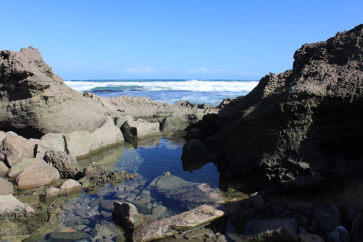 Dylan John Wilson tweet media