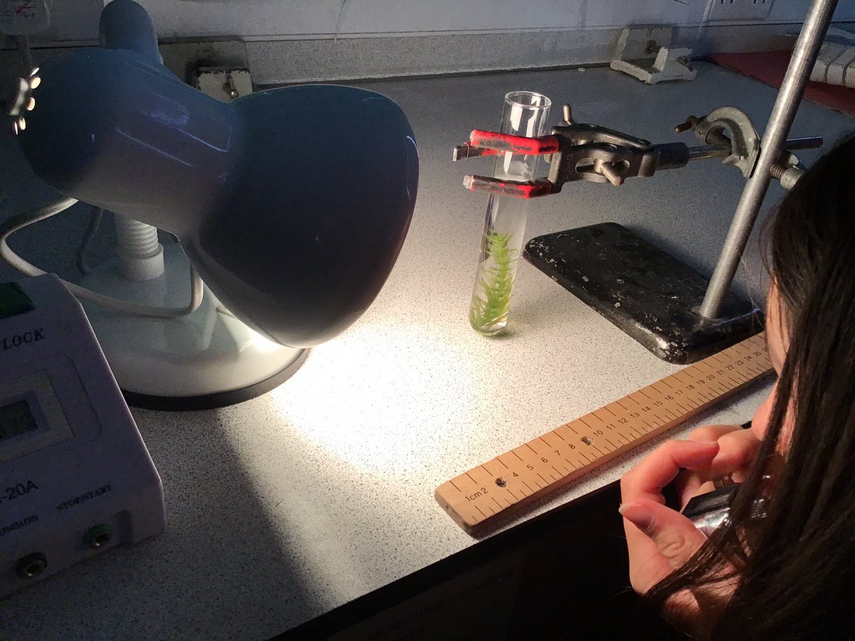 ExSchBio's tweet photo. #GWITT not a hard one today! @ExeterSchoolUK #biology #ScienceTwitter #scienceteacher @SAPS_News https://t.co/l9f1O5Q7A7