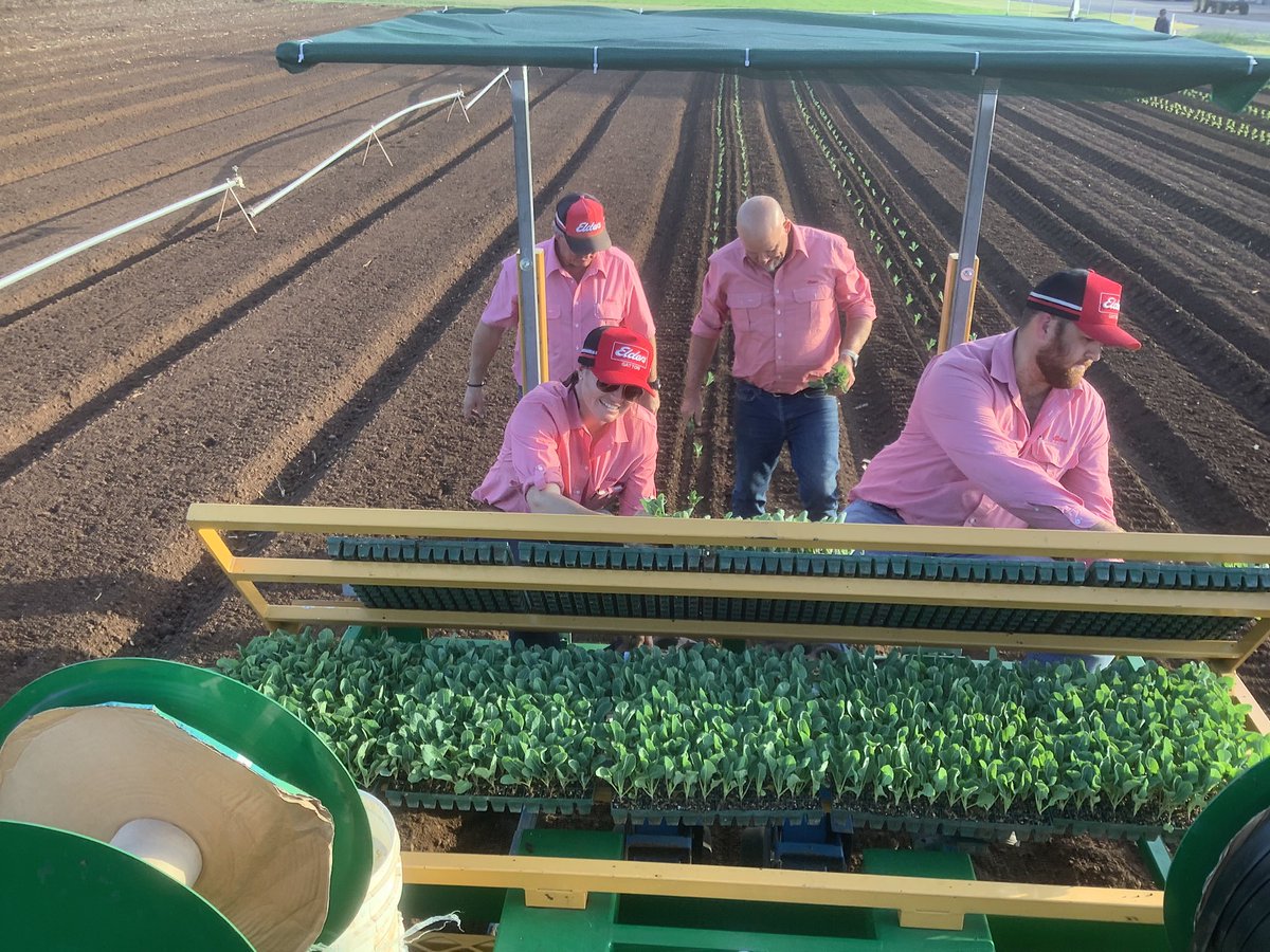 Gregory Ian Teske tweet media