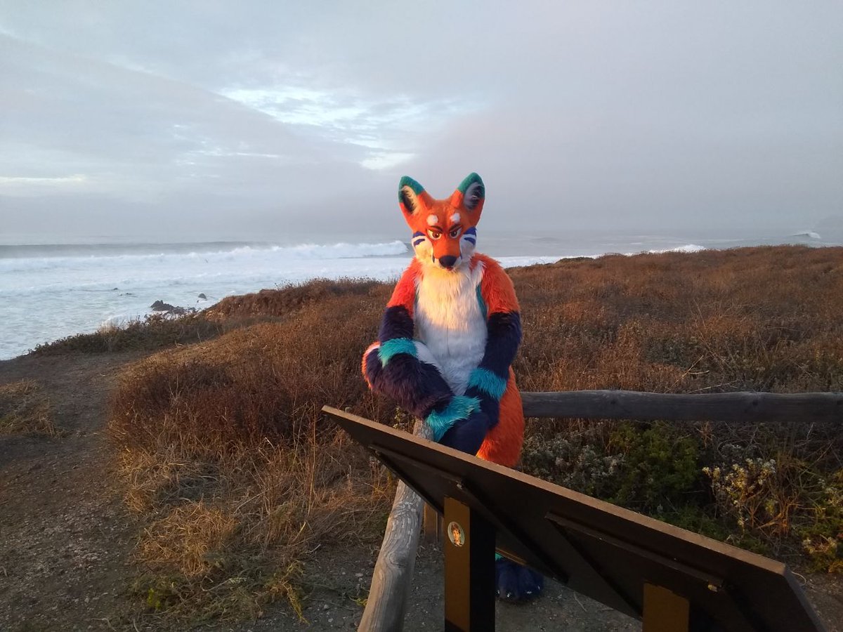 FoxCirrus's tweet photo. Well? You gonna join me? The sun is going to set any minute!
#FursuitFriday https://t.co/pT1hliTwTt