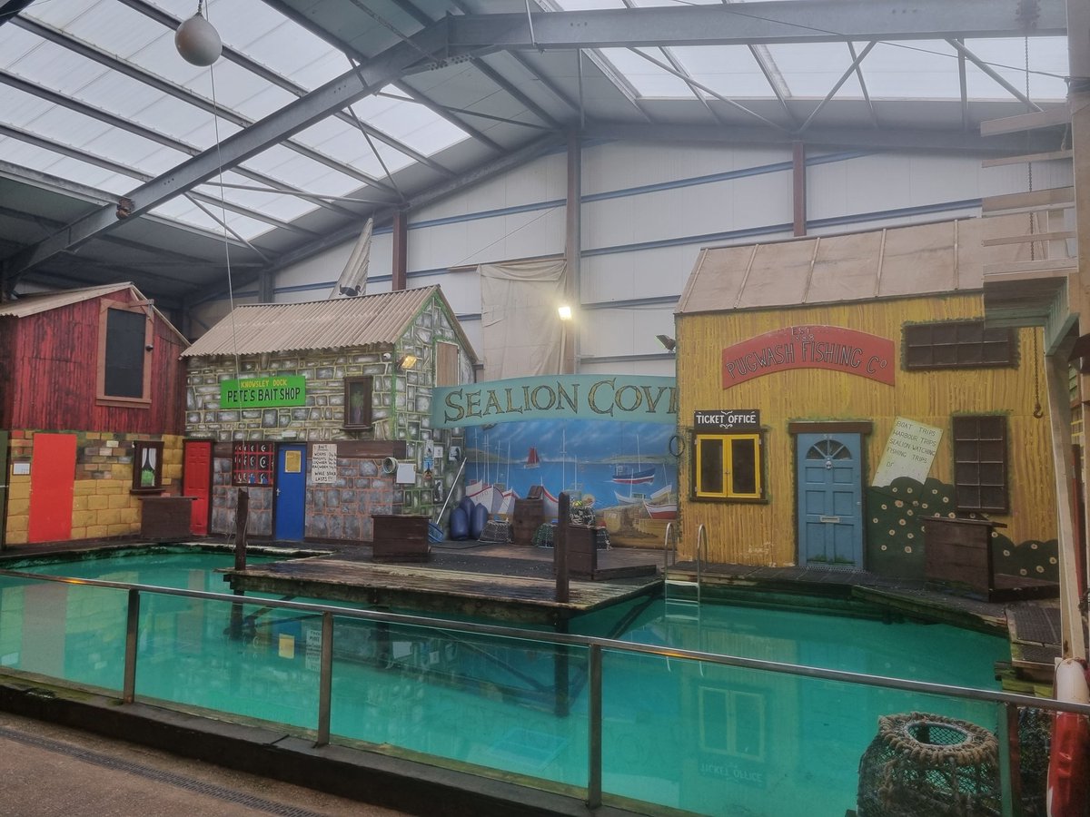 FPS_1_Turtles's tweet image. Time for the sea lion show 😍 #fpsscience