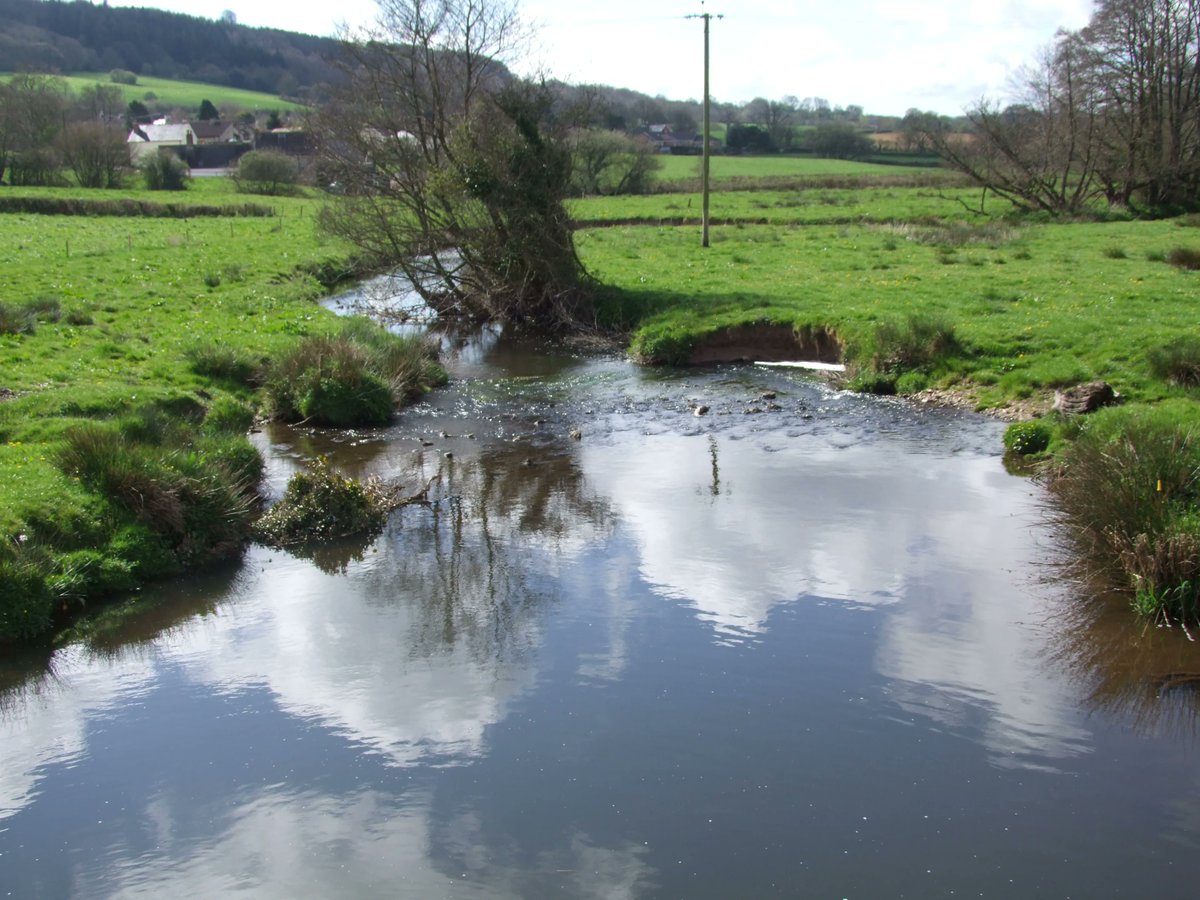 DevonWildlife's tweet photo. For #BeaverConference2023, we took 80 delegates to the River Otter catchment along with @ExeterGeography to see the benefits beavers bring to the landscape, gain better understanding of management challenges and mitigation that can be used as we live alongside beavers 🦫 https://t.co/xuPFWf14D6
