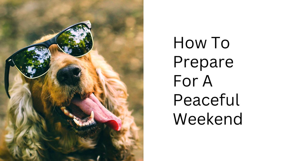 BTBspain's tweet photo. If you are looking for peace this weekend, how can you set the mood? 

https://t.co/ISD0OJhGnQ 

#btbclub #expat #expatsinspain #expatlife #ceos #businessowners #networking #meetup #businessnetworking #meetups #expatsinmalaga #costadelsol #alicante #costablanca https://t.co/rZXC6D2Ks7