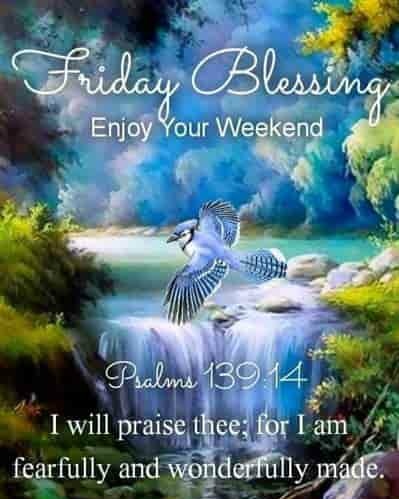 Joanne Francis tweet media