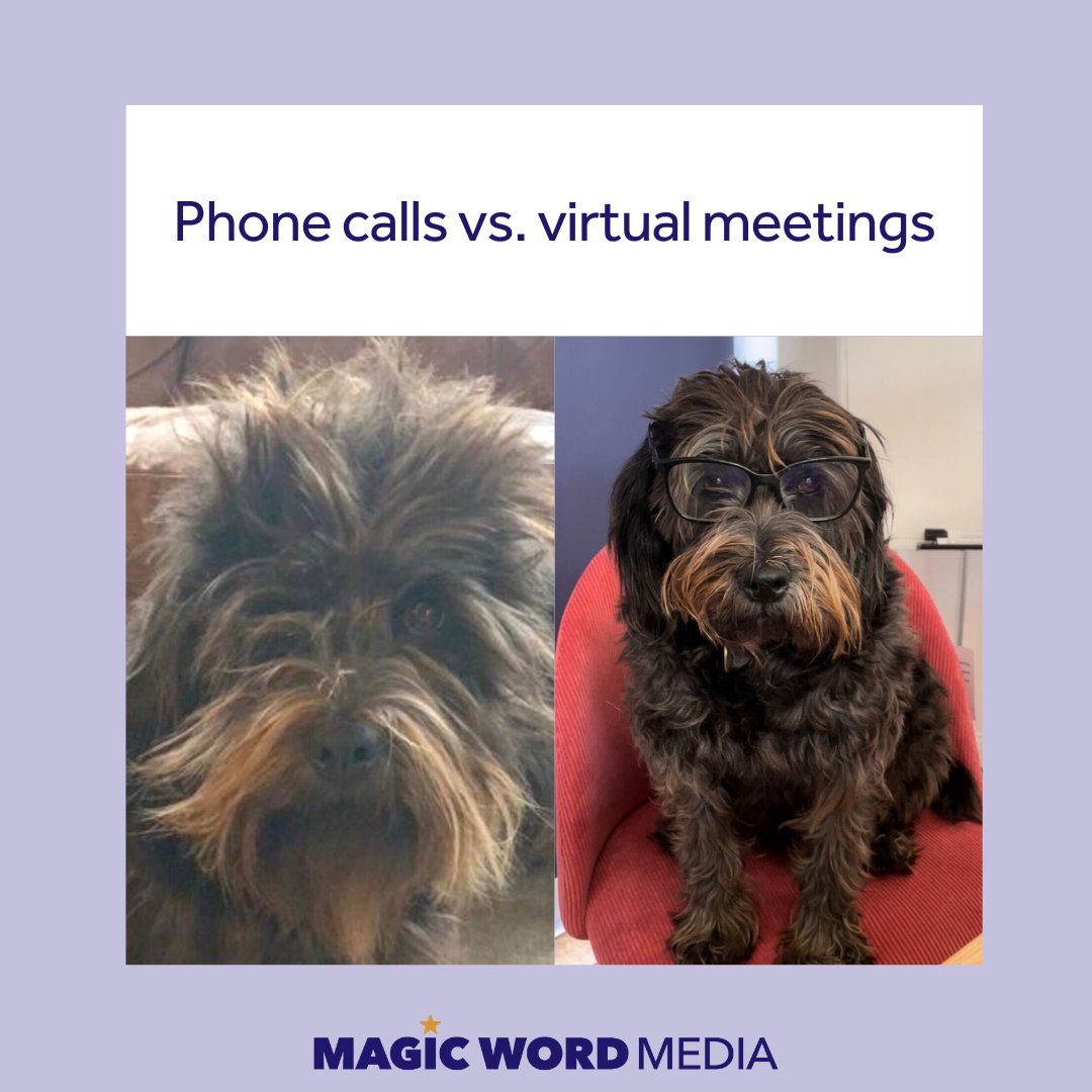 The struggle to brush the hair is real... 😵😵😵

#socialmediamarketing #socialmediamanagement #contentmarketing #officedog #officedogs