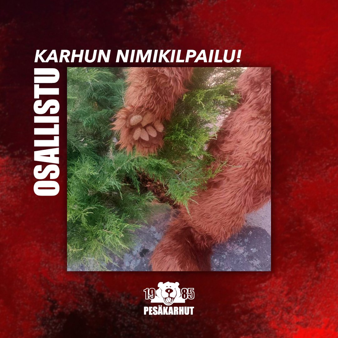 PesakarhutPori's tweet photo. Pesäkarhuja voit bongata pesiskentällä ja tällä kaudella katsojia tulee ilahduttamaan aivan uusi kasvo! Uusi maskottimme tarvitsee vielä nimen, joten ehdota karhulle nimeä ja osallistu arvontaan! 🐻🌞 https://t.co/0SqAHzQjRU #olemukana #pesäkarhut #pesis #kausi2023 #maskotti https://t.co/8XEyG5stSe