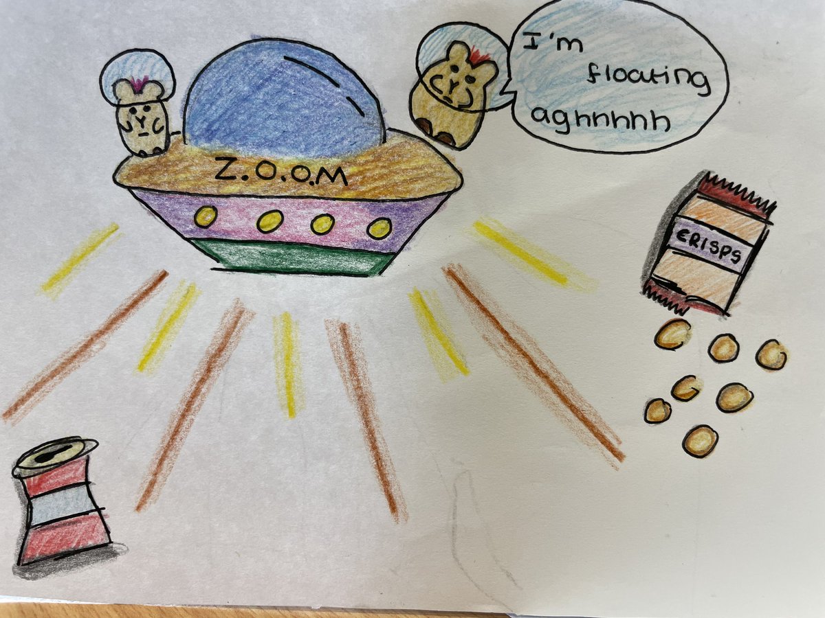 Mrs Shepherd tweet media