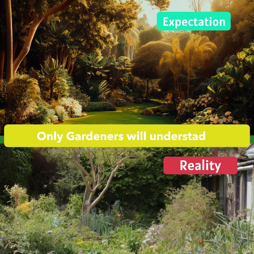 Global Gardens tweet media