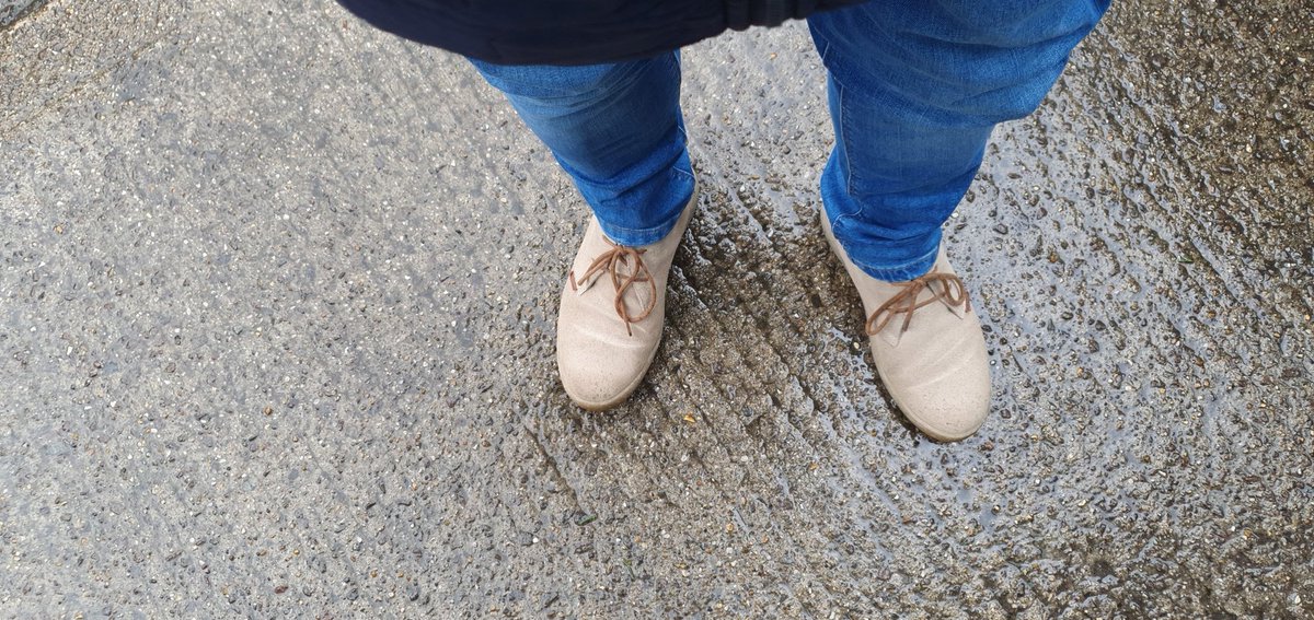 The Ex Monkey : UGC 🙊 tweet media