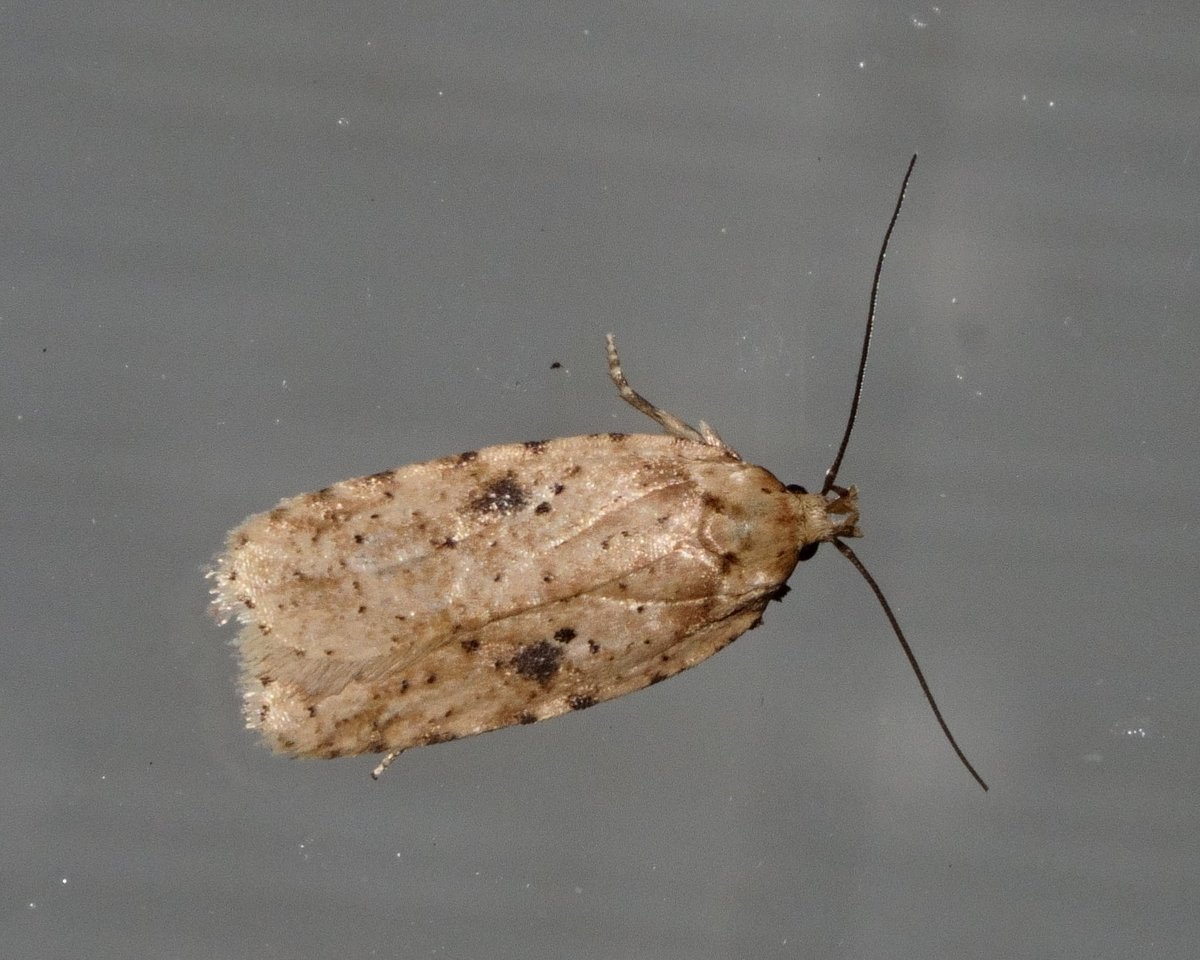 Peter Hendry tweet media