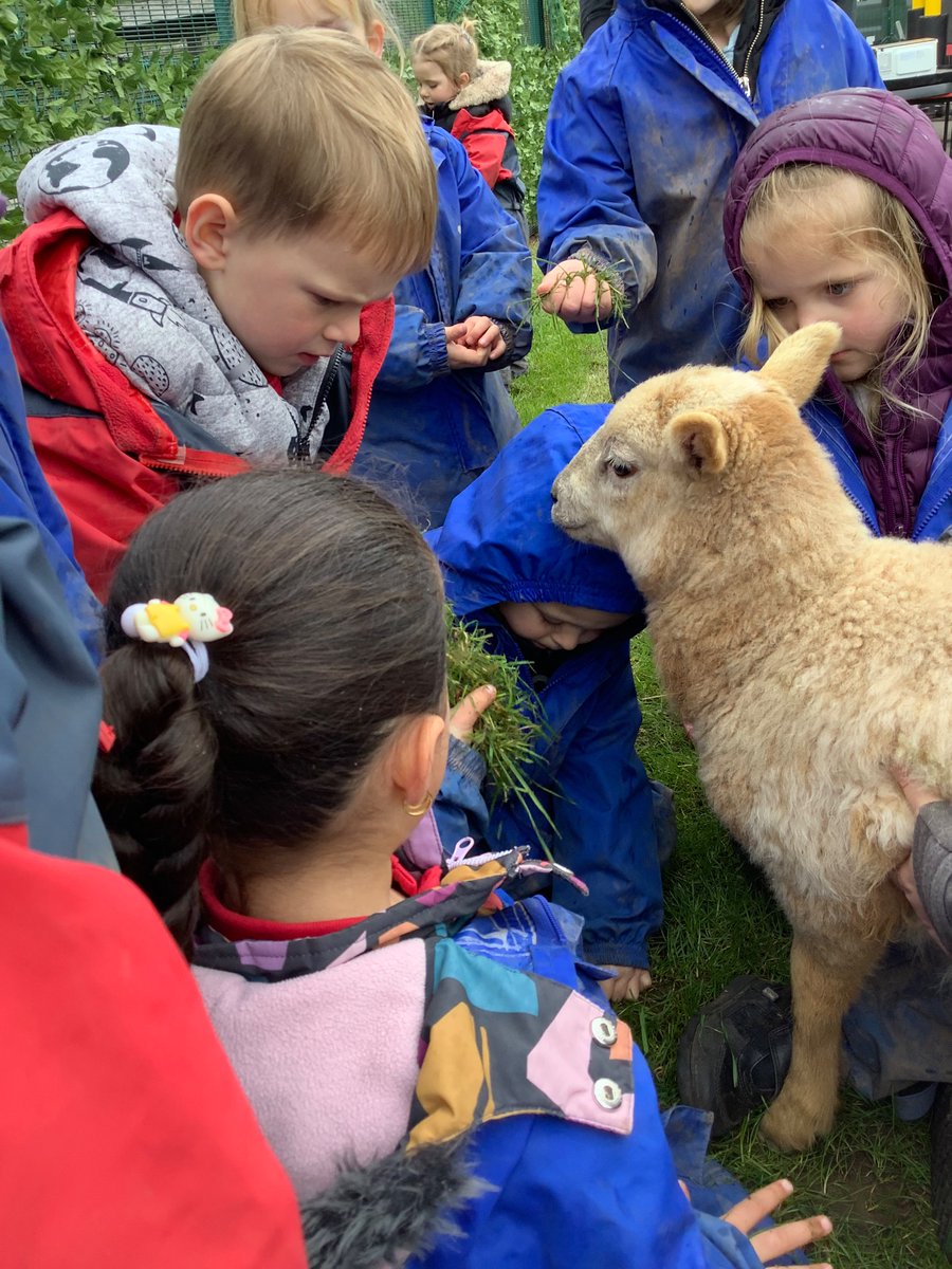 LittleAcornsMB1's tweet photo. E… Had a little lamb, who she brought to Nursery one day… 🐑 @MillbrookP @MBHeadteacher https://t.co/b6RBYse5qj
