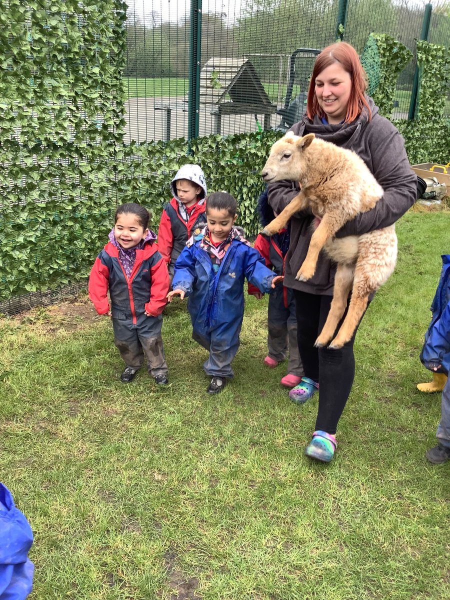 LittleAcornsMB1's tweet photo. E… Had a little lamb, who she brought to Nursery one day… 🐑 @MillbrookP @MBHeadteacher https://t.co/b6RBYse5qj