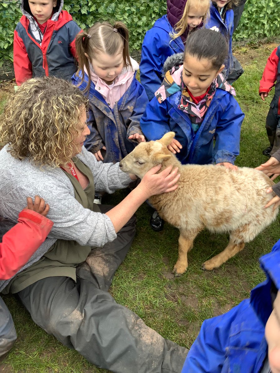LittleAcornsMB1's tweet photo. E… Had a little lamb, who she brought to Nursery one day… 🐑 @MillbrookP @MBHeadteacher https://t.co/b6RBYse5qj