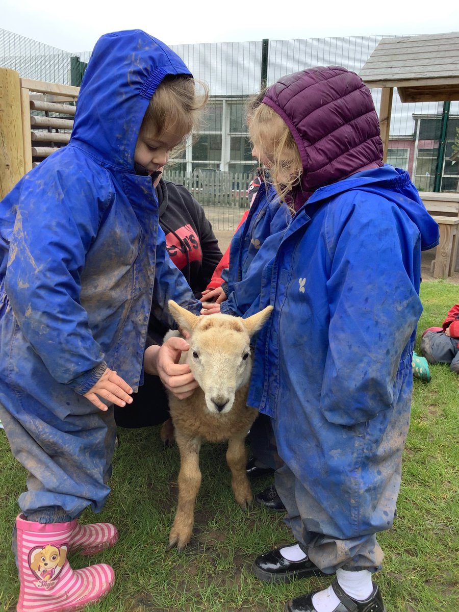 E… Had a little lamb, who she brought to Nursery one day… 🐑 <a href="/MillbrookP/">Millbrook Primary</a> @MBHeadteacher