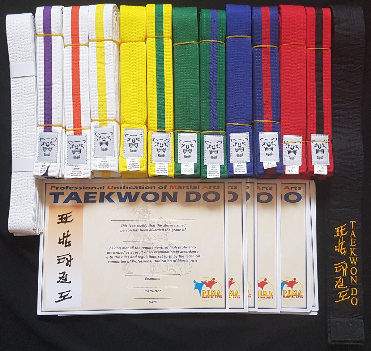 Wishing Chepstow Students grading tonight, all the very best of luck!