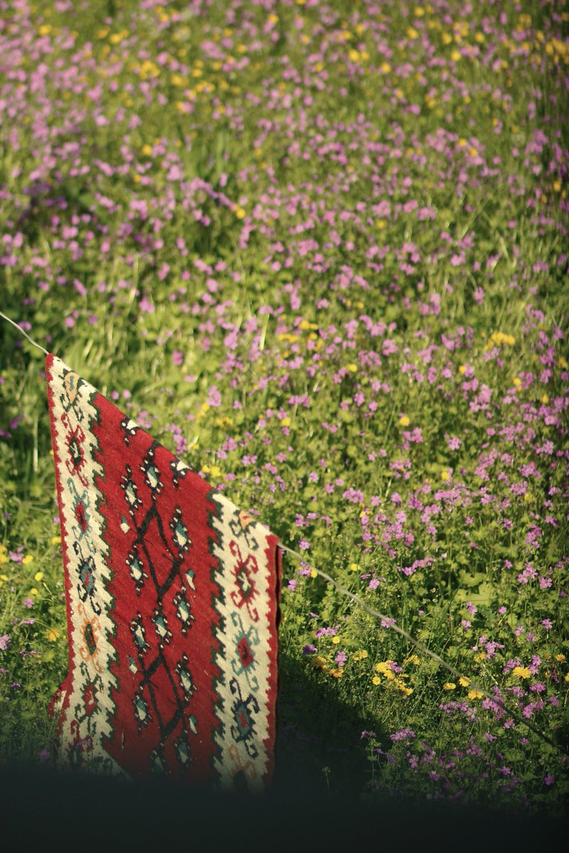 thekupus's tweet photo. Proljeće u Stocu 🥰 https://t.co/nTA5DwmVNt