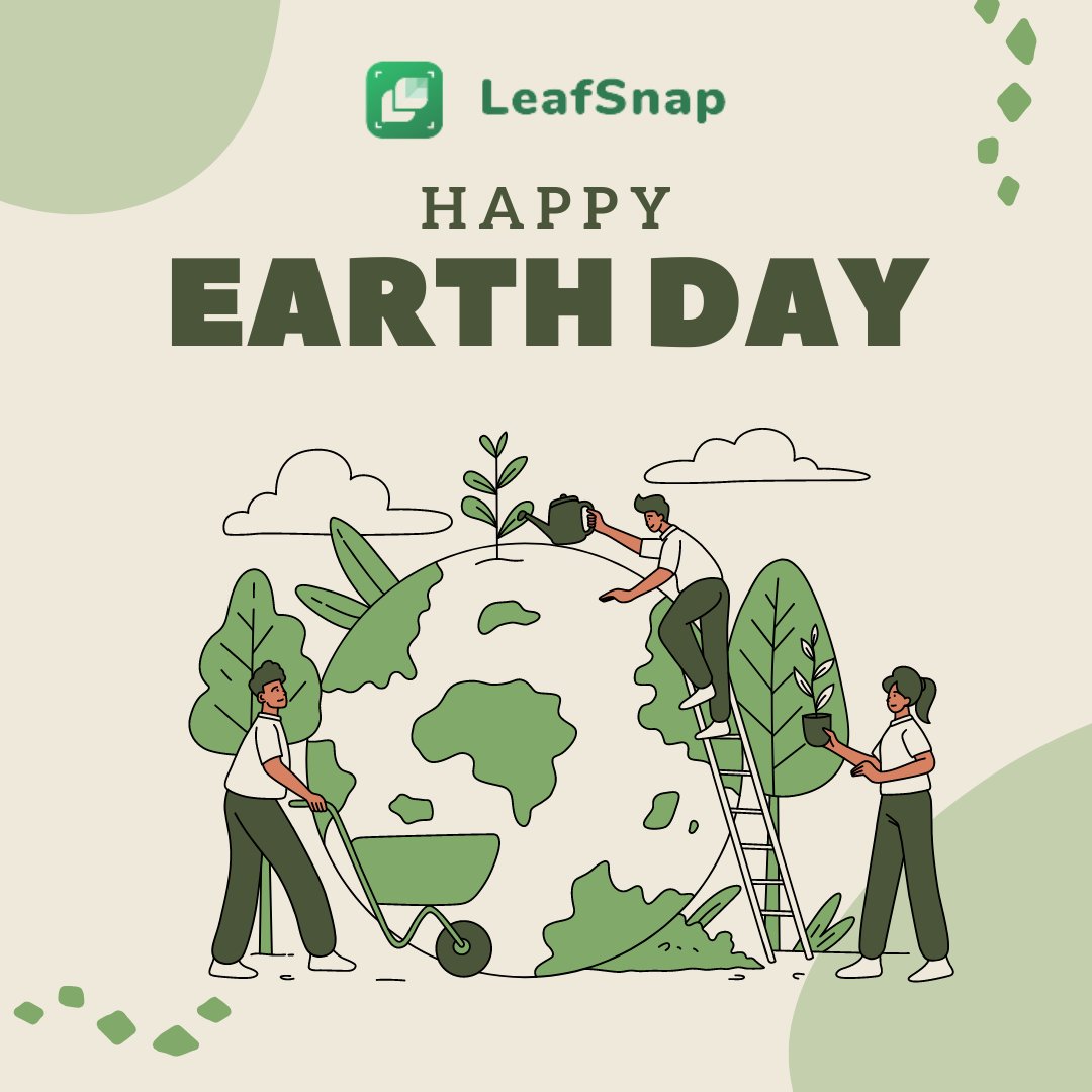 Leafsnap_ai's tweet photo. We only have one home. Let's take care of it.💚

Make every day an Earth Day.🌍

#leafsnap #leafsnapai #leafsnapapp #leafsnapplantidentification #plants #plantsofinstagram #plantlife #plantlove #planting #plantlover #planters #plantgoals #gardening #gardenlife #gardenlovers https://t.co/BfDf28Nne9