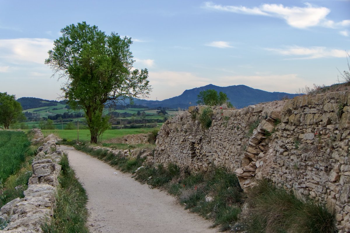 Camins

Santa Coloma de Queralt

Baixa Segarra

#segarrejant
#goodmorning #Countryside #Catalonia #landscapes
<a href="/segarrejant/">segarrejant</a> <a href="/finslagorra_1/">finslagorra ||*|| SÍ</a> <a href="/jolival65/">JOliva||*||</a> <a href="/montserumbau/">montserrat rumbau</a>  <a href="/salvad_m/">RosamSal ||⭐|| 🏴󠁧󠁢󠁥󠁮󠁧󠁿#Jo soc CDR# *CxR*</a> <a href="/martalbareda/">Marta Albareda Valls</a> <a href="/jordicodol/">Jordi Còdol Montagut</a> <a href="/betaltarriba/">Bet Altarriba Cabré</a> <a href="/mccorominas/">Carme Corominas</a>  <a href="/cantireta/">Montserrat Aloy 💬✏📕 🎭🇺🇦</a> @xatoQuico <a href="/Ifarre2/">Imma</a> <a href="/CanelaBalsebre/">rosa canela</a>