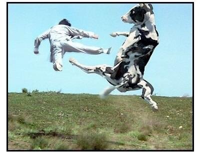 If you remember this video, how are the kids?