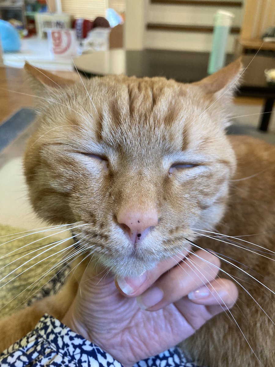なんだその情けない顔は！！！