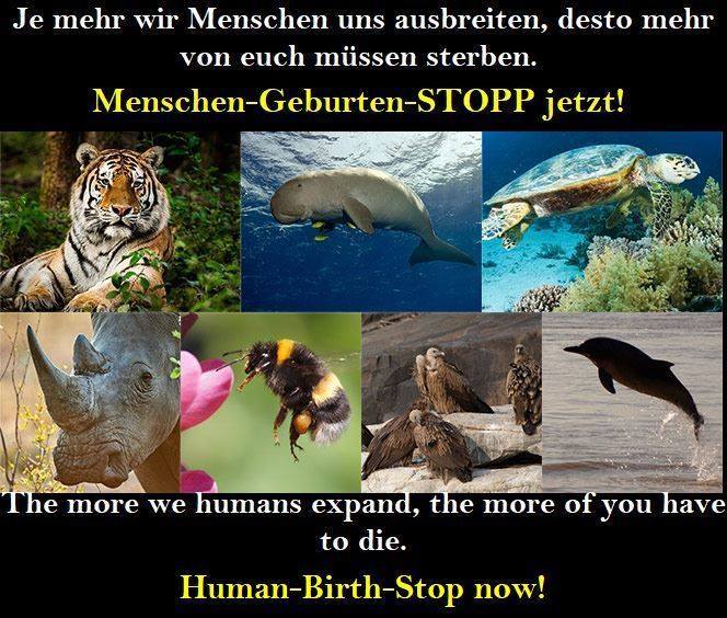 Achim1106's tweet photo. The more WE HUMANS expand, the more of YOU have to DIE.
+++ Unterschreibe - Sign: https://t.co/mNJla7pZm3 +++ https://t.co/ACK67cFabU