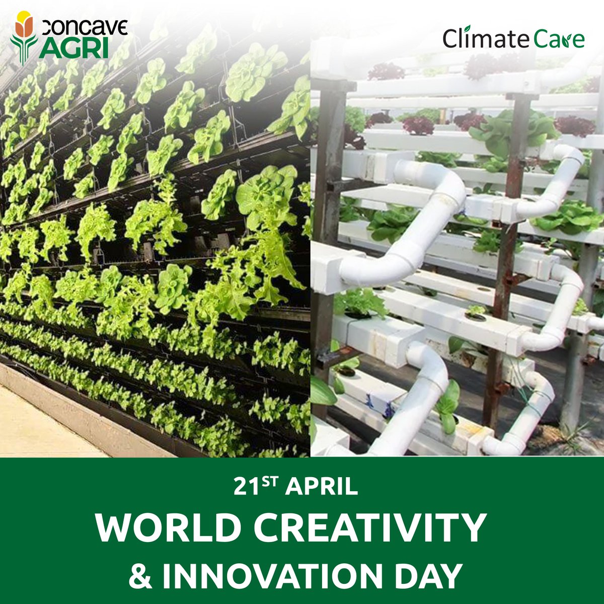 Concave_Agri's tweet photo. Innovating Agriculture: Celebrating World Innovation and Creativity Day 2023 with our commitment to transforming agriculture through cutting-edge technology and sustainable practices.
#InnovatingAgriculture #WorldInnovationDay #SustainableAgriculture https://t.co/RUVhJIiIUx