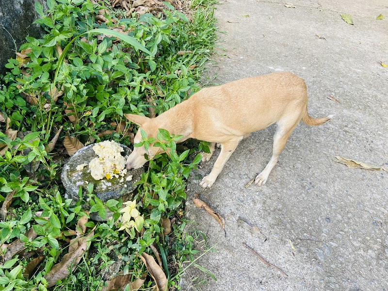 Foundation of Goodness tweet media