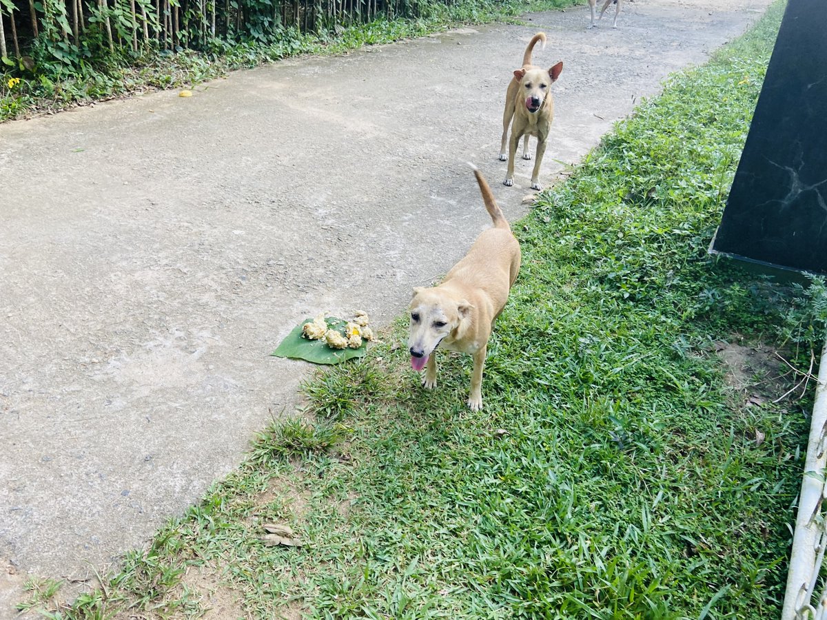 Foundation of Goodness tweet media