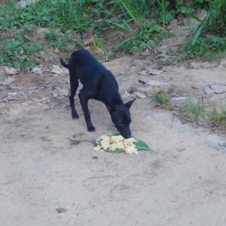 Foundation of Goodness tweet media