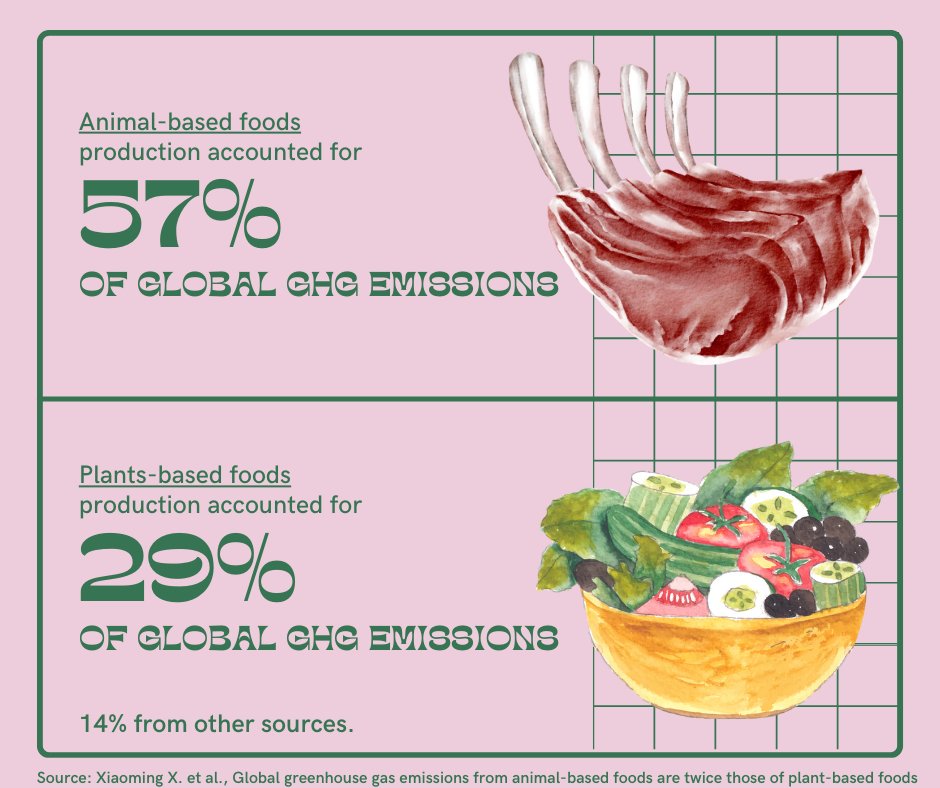 aseforg's tweet photo. A recent study revealed that emissions from animal-based food are double that of plant-based food systems. Our policy brief discusses the crucial role of SMEs in promoting sustainable agri-food systems. https://t.co/hPXkSJR0M6 #FoodWaste #FAO #CircularEconomy https://t.co/GeSdFpt5f5
