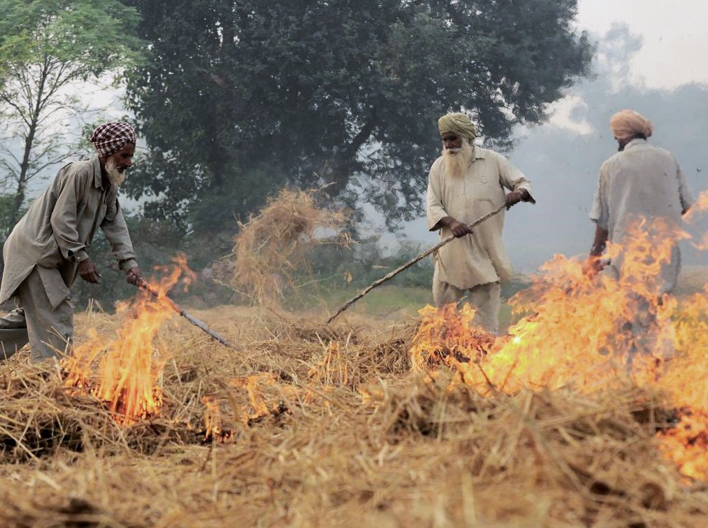 Eliminating waste through sustainably using biomass residues is an important part of the circular #bioeconomy. Read all about it in an interview with @FAO bioenergy expert Manas Puri 👉bityl.co/IHZz