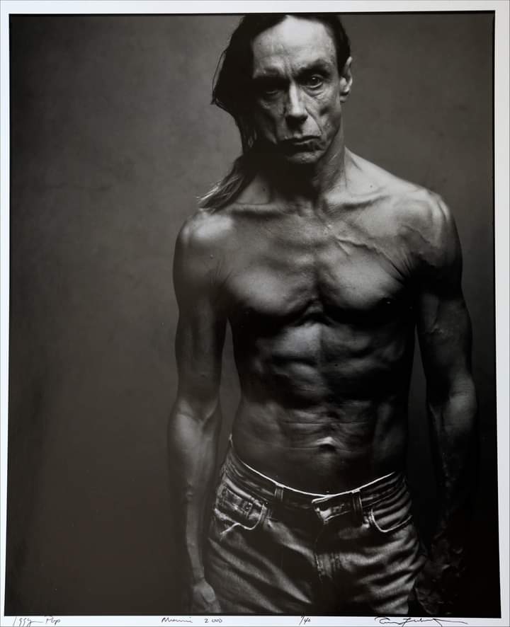 Happy Birthday Iggy Pop !

Iggy Pop photographié par Annie Leibovitz, Miami, Floride, 2000 