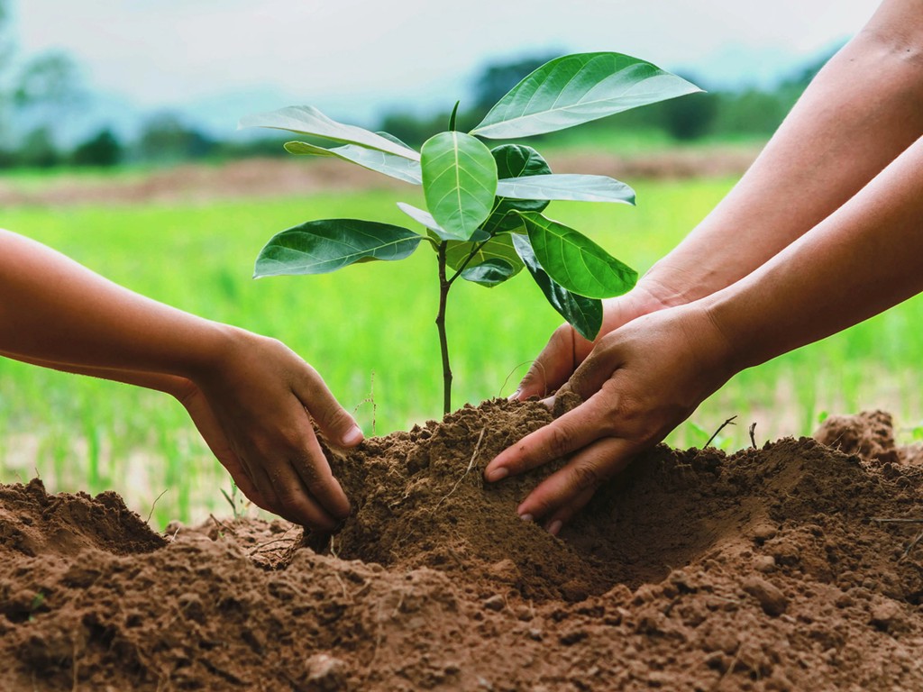 FreshcropLtd's tweet photo. Apart from pioneering and championing the #PotatoValueChain, at Freshcrop Limited are proud to announce our commitment to reforestation efforts. We have a fully operational tree nursery in the Mau region, capable of producing up to one million seedlings per year!
#EarthWeek2023 https://t.co/EowZpjYATv