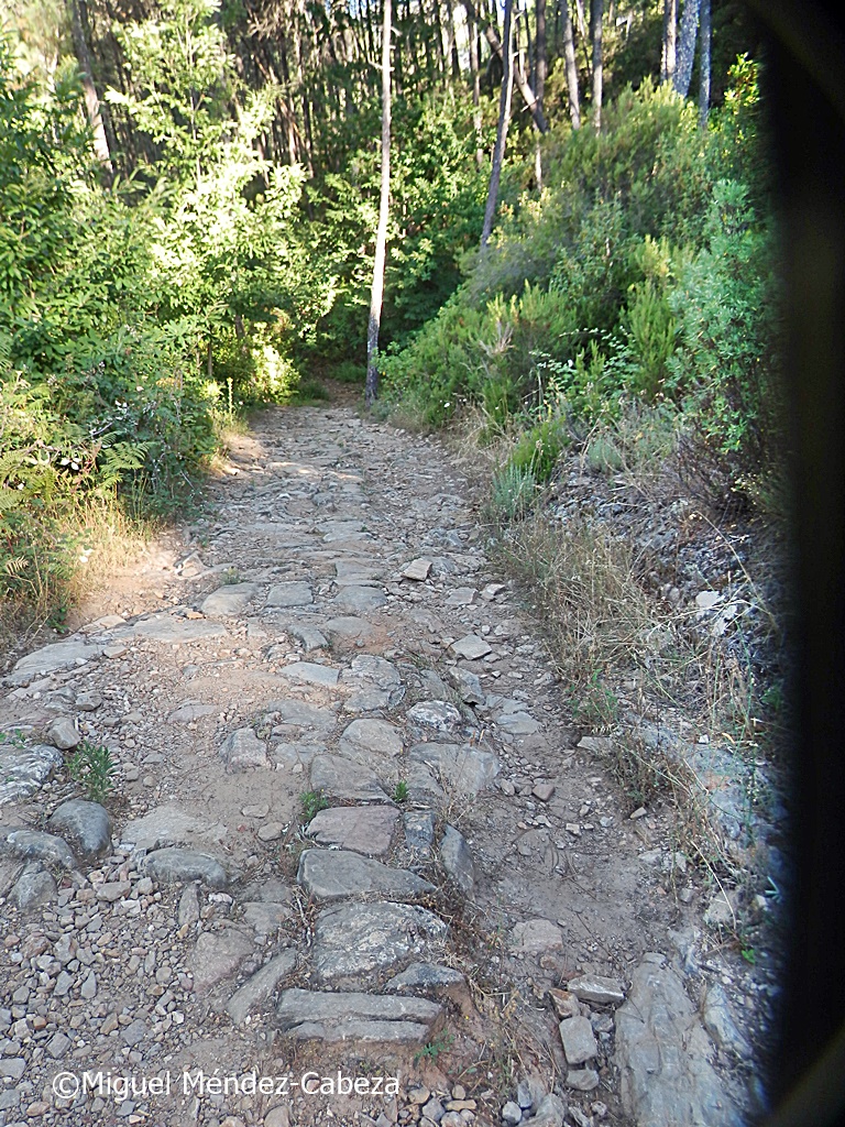 talaveranator's tweet photo. UN PASEO FRESQUITO EN GREDOS LA SENDA DE LOS PESCADORES EN ARENAS
tocando en este enlace de mi blog
https://t.co/RmuCiRwCe6 https://t.co/R6tluEB9Bx