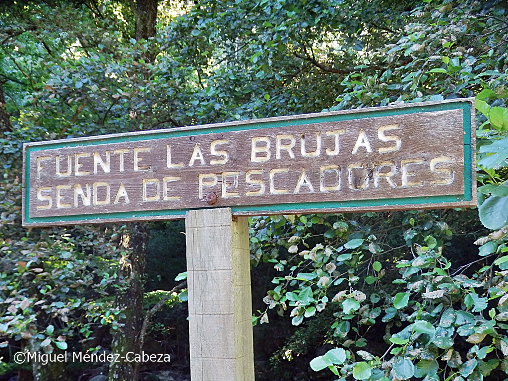 talaveranator's tweet photo. UN PASEO FRESQUITO EN GREDOS LA SENDA DE LOS PESCADORES EN ARENAS
tocando en este enlace de mi blog
https://t.co/RmuCiRwCe6 https://t.co/R6tluEB9Bx