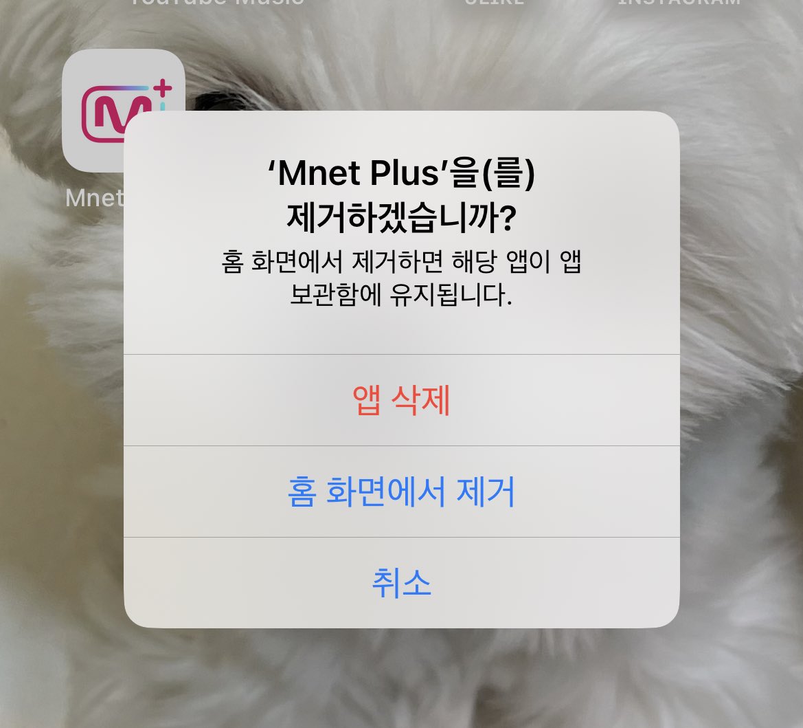 다신보지말아요..