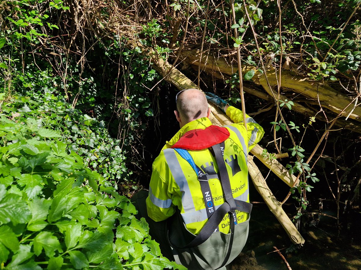 WatersProgramme's tweet photo. Yesterday, our catchment scientists worked closely with their colleagues in @DubCityCouncil and @Fingalcoco to look at discharges into the #Santry river #Dublin #collaboration #urbandiffuse https://t.co/S1ESAscPEU