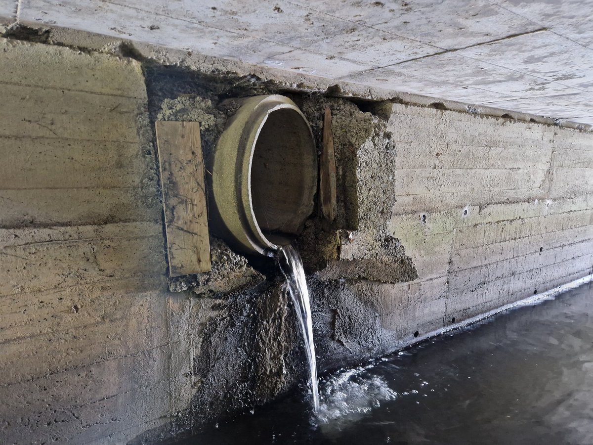 WatersProgramme's tweet photo. Yesterday, our catchment scientists worked closely with their colleagues in @DubCityCouncil and @Fingalcoco to look at discharges into the #Santry river #Dublin #collaboration #urbandiffuse https://t.co/S1ESAscPEU