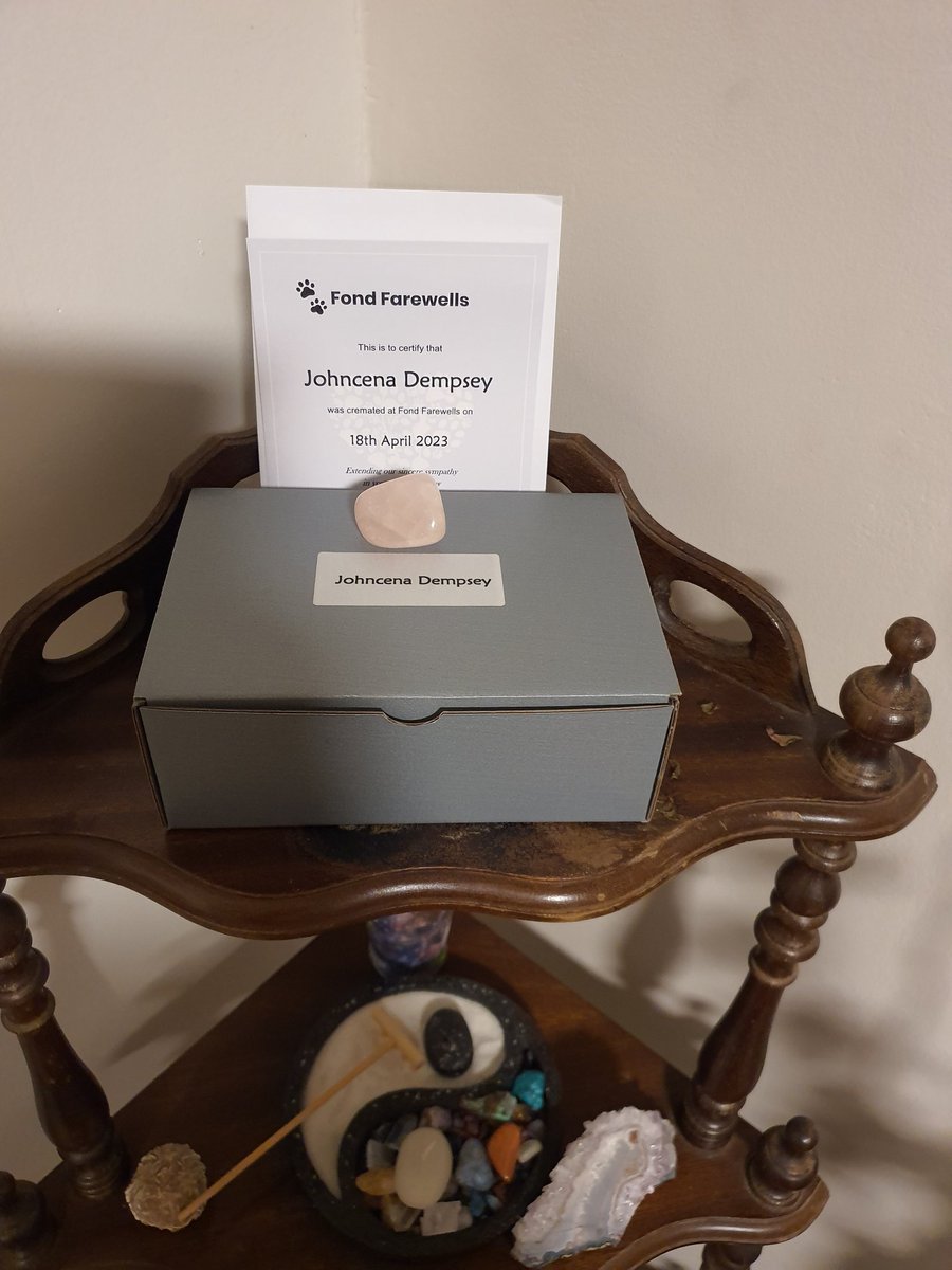 Kat'sWorld😘✌️💖🌞🌏👻👻🧑🦰 tweet media