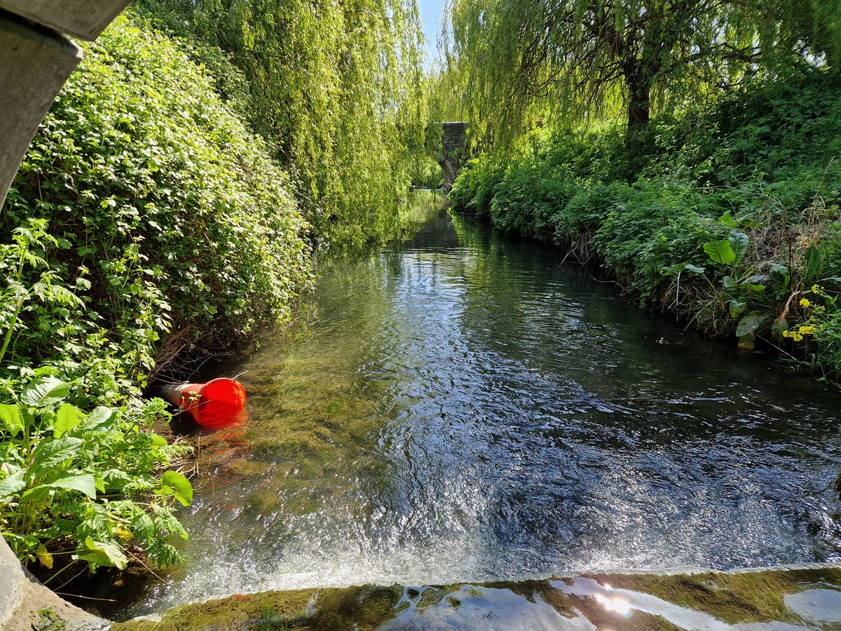 WatersProgramme's tweet photo. Yesterday, our catchment scientists worked closely with their colleagues in @DubCityCouncil and @Fingalcoco to look at discharges into the #Santry river #Dublin #collaboration #urbandiffuse https://t.co/S1ESAscPEU